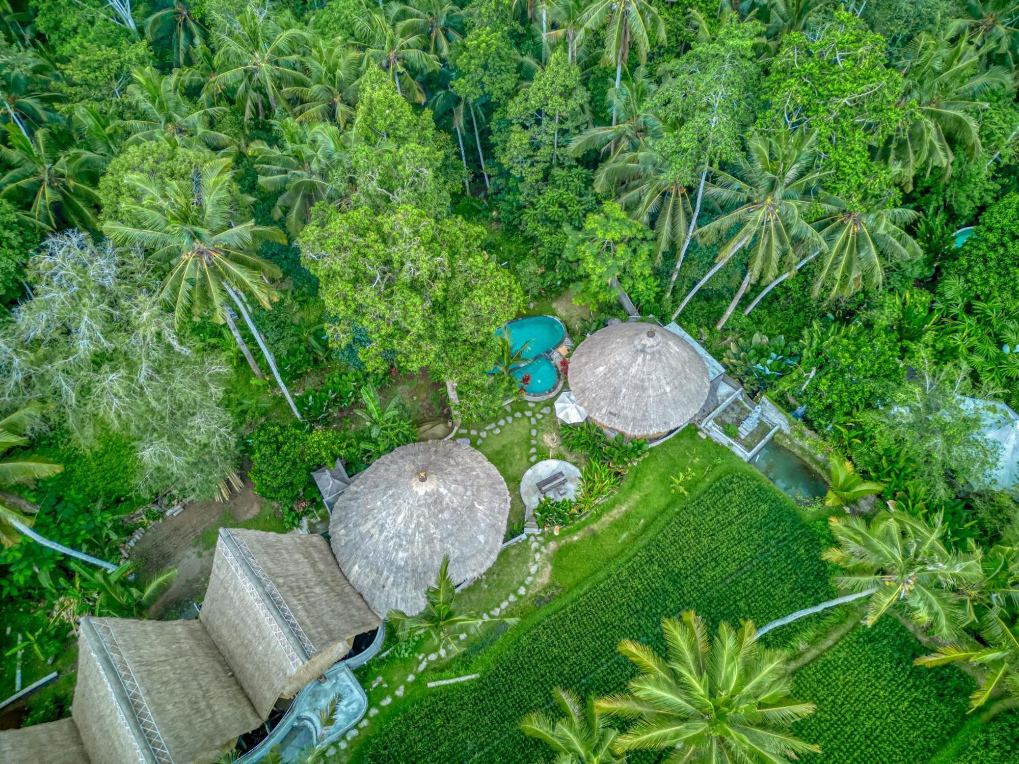 Bamboo Cabin Sanctuary By Nusantara Hospitality Убуд Екстер'єр фото